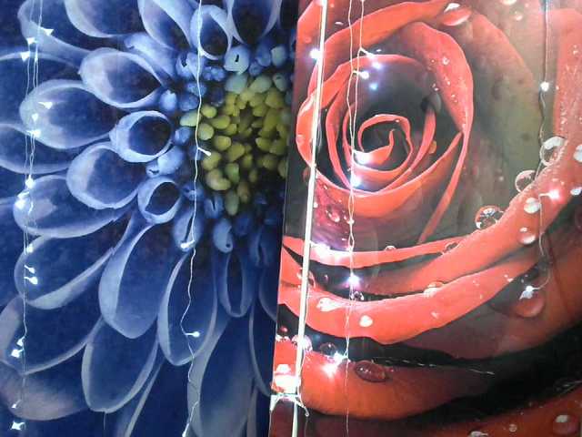 Lilijjjjjjjjjjjjjjjjj90's BongaCams show and profile