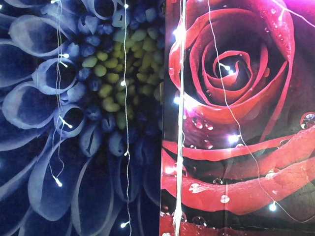 Lilijjjjjjjjjjjjjjjjj90 live cam on BongaCams