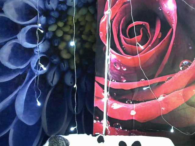 Lilijjjjjjjjjjjjjjjjj90 live cam on BongaCams