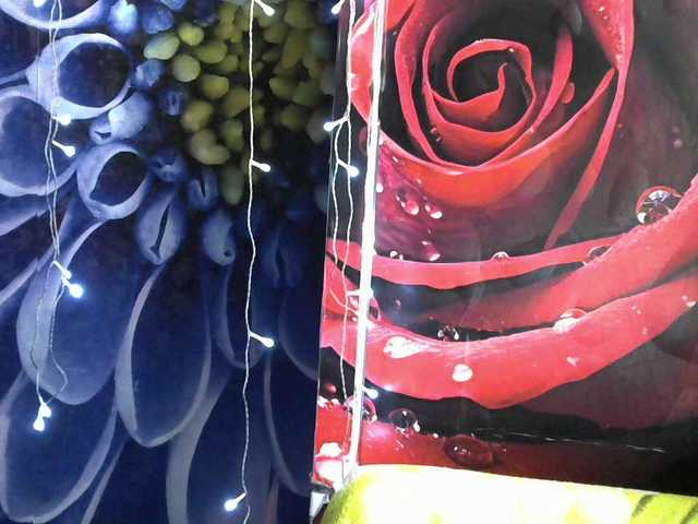 Lilijjjjjjjjjjjjjjjjj90 live cam on BongaCams