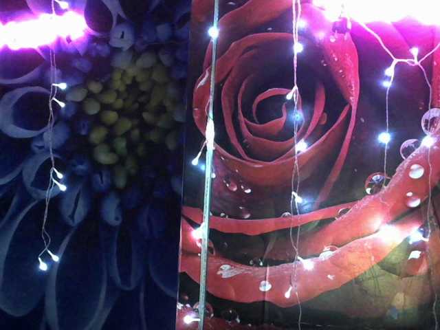 Lilijjjjjjjjjjjjjjjjj90, live now on BongaCams