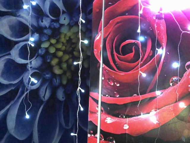 Lilijjjjjjjjjjjjjjjjj90