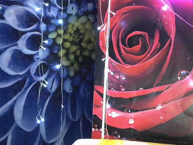 Lilijjjjjjjjjjjjjjjjj90 live cam on BongaCams