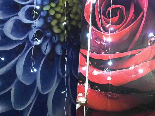 Lilijjjjjjjjjjjjjjjjj90 live cam on BongaCams