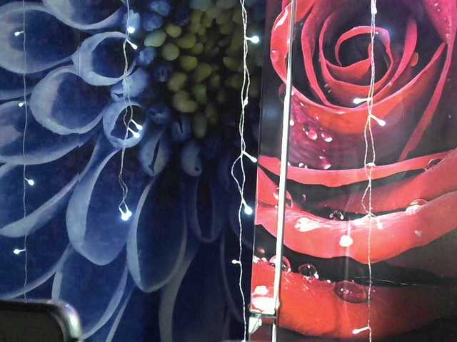 Lilijjjjjjjjjjjjjjjjj90 live cam on BongaCams