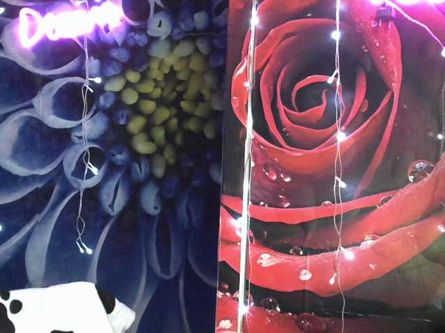 Lilijjjjjjjjjjjjjjjjj90 live cam preview