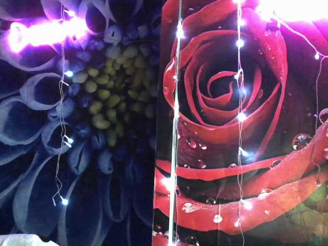 Lilijjjjjjjjjjjjjjjjj90 live cam preview