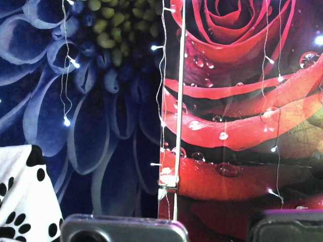 Lilijjjjjjjjjjjjjjjjj90 live cam preview