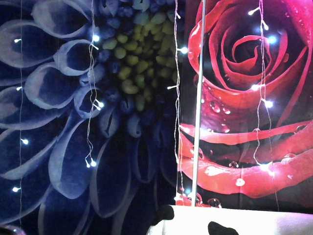 Lilijjjjjjjjjjjjjjjjj90 live cam preview