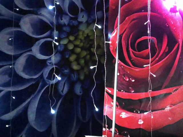 Lilijjjjjjjjjjjjjjjjj90