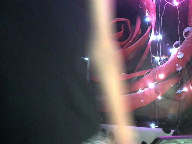 Lilijjjjjjjjjjjjjjjjj90 live cam on BongaCams