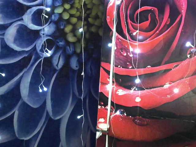 Lilijjjjjjjjjjjjjjjjj90 live cam on BongaCams