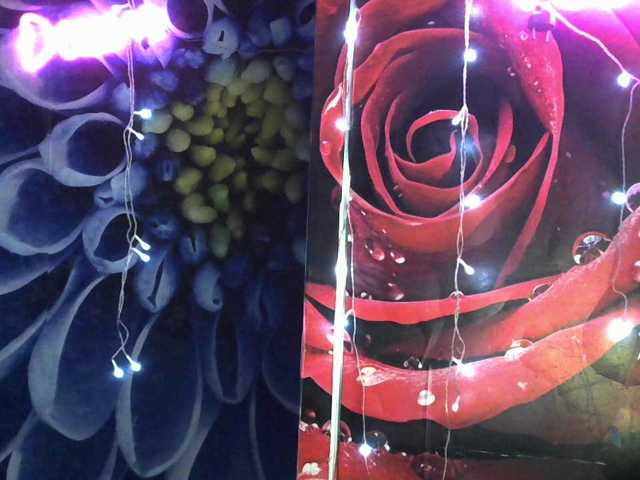 Lilijjjjjjjjjjjjjjjjj90