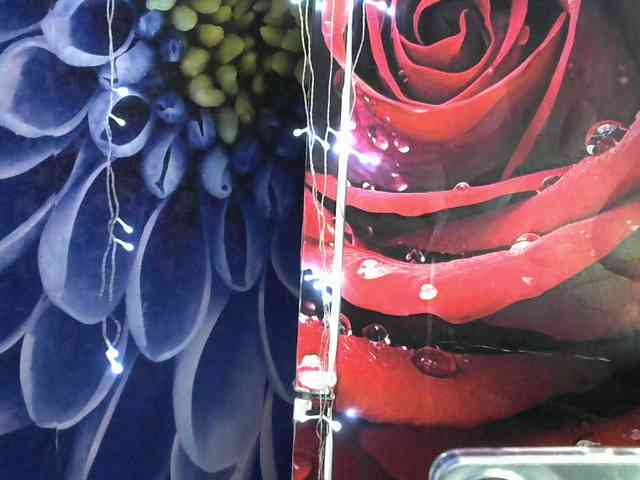 Lilijjjjjjjjjjjjjjjjj90 webcam