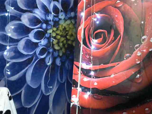 Lilijjjjjjjjjjjjjjjjj90 webcam