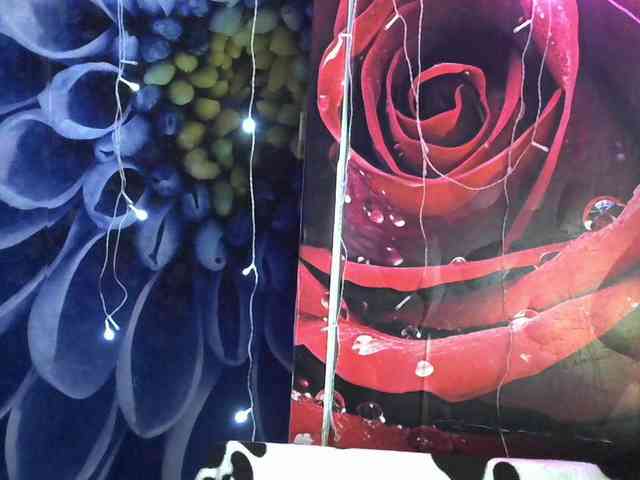 Lilijjjjjjjjjjjjjjjjj90 Lilijjjjjjjjjjjjjjjjj90