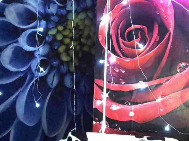 Lilijjjjjjjjjjjjjjjjj90 webcam