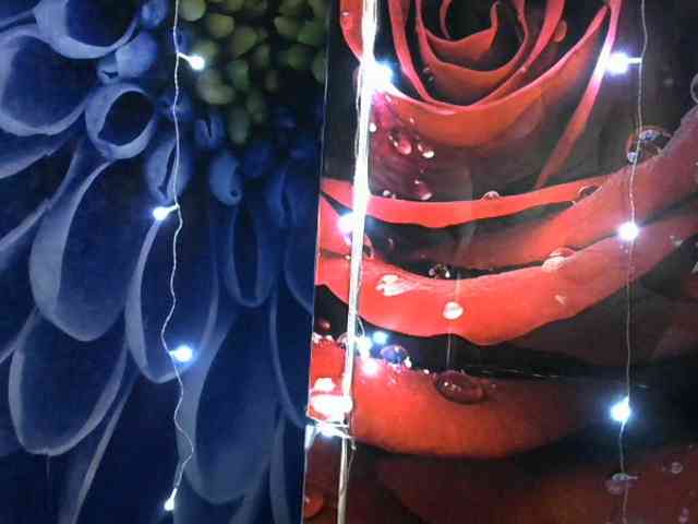 Lilijjjjjjjjjjjjjjjjj90 webcam