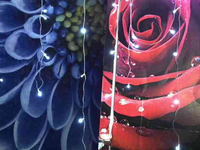 Lilijjjjjjjjjjjj... Live Webcam on BongaCams