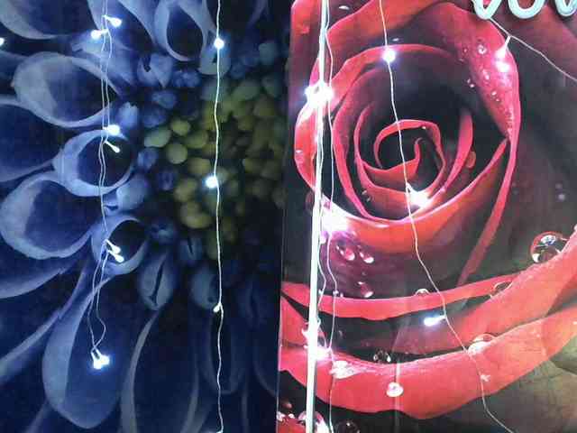 Lilijjjjjjjjjjjjjjjjj90 Lilijjjjjjjjjjjjjjjjj90