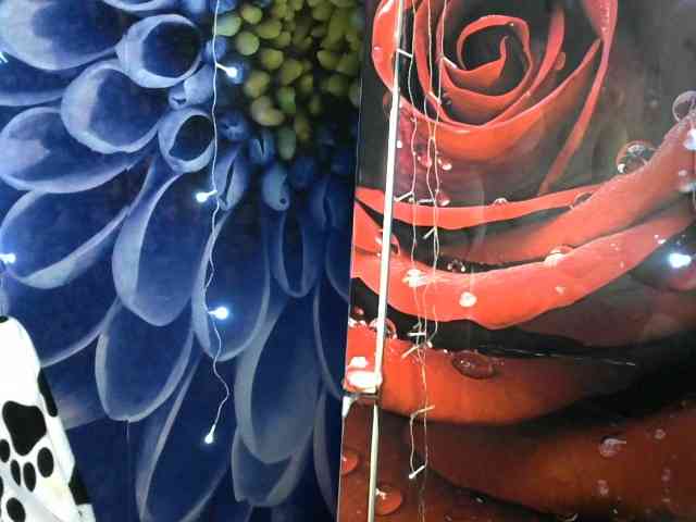 Lilijjjjjjjjjjjjjjjjj90 webcam