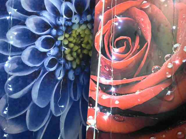 Lilijjjjjjjjjjjjjjjjj90 webcam