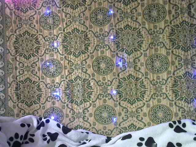Lilijjjjjjjjjjjjjjjjj90 webcam