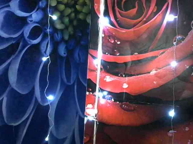 Lilijjjjjjjjjjjjjjjjj90 webcam