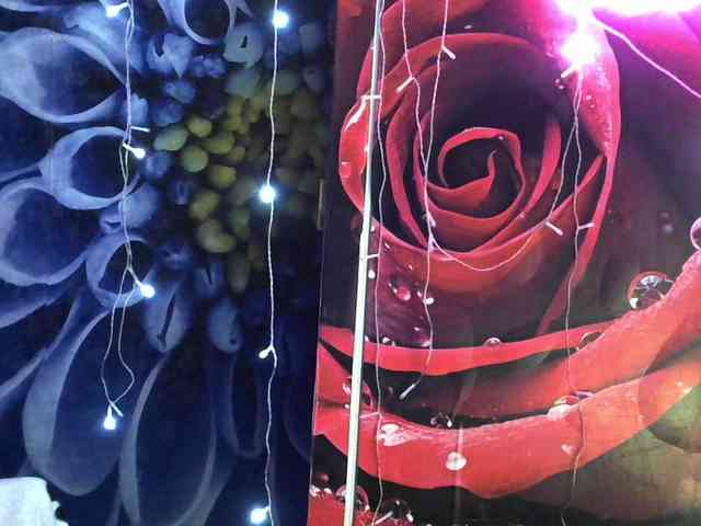 Lilijjjjjjjjjjjjjjjjj90 webcam