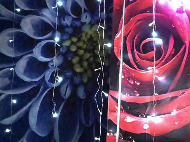Lilijjjjjjjjjjjjjjjjj90 webcam