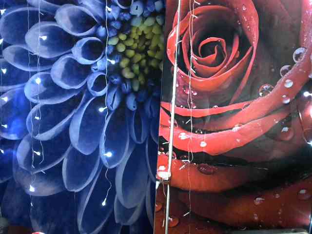 Lilijjjjjjjjjjjjjjjjj90 webcam