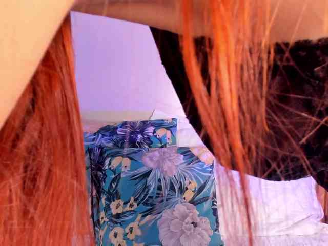 GingerWin webcam