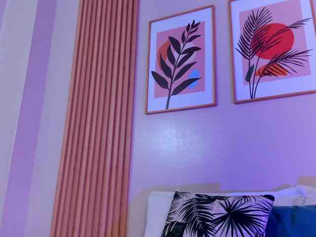 GingerWin webcam