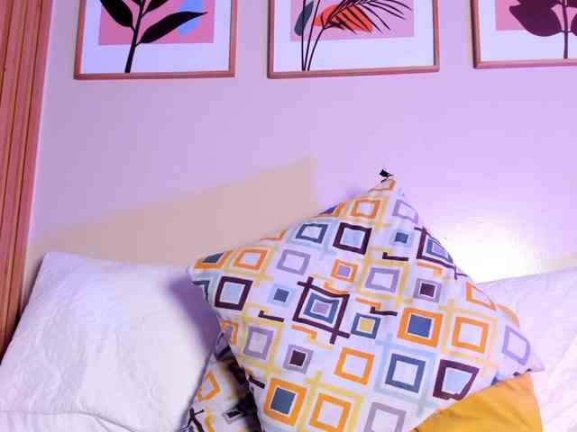 GingerWin webcam