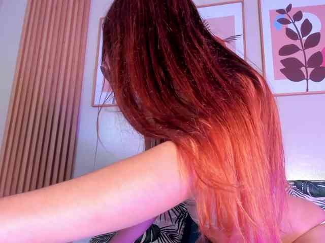 GingerWin webcam
