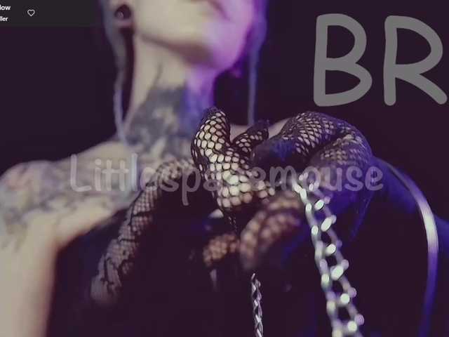 LittleSpaceMouse-'s BongaCams show and profile