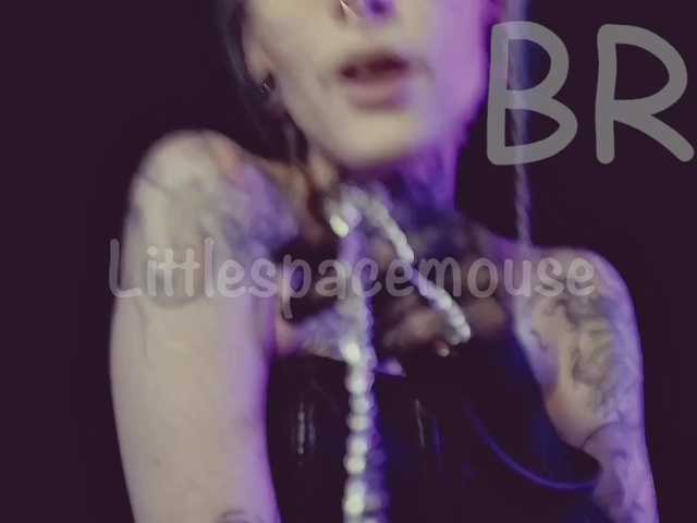 LittleSpaceMouse-