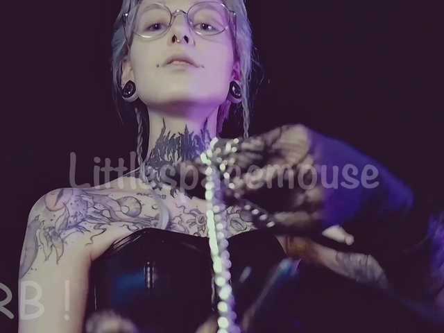 LittleSpaceMouse-