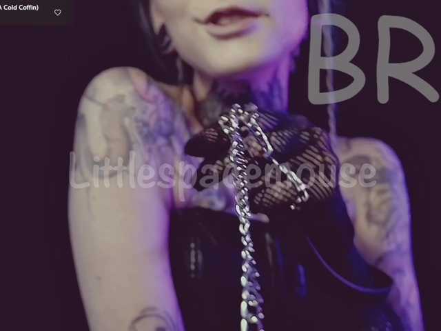 LittleSpaceMouse-
