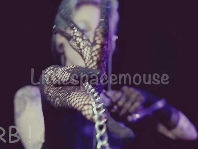 LittleSpaceMouse-