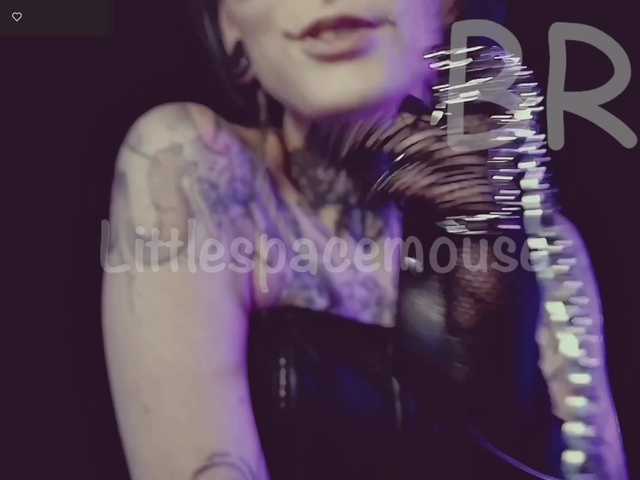 LittleSpaceMouse-
