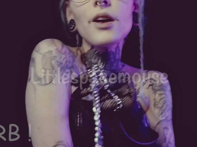 LittleSpaceMouse- live cam on BongaCams