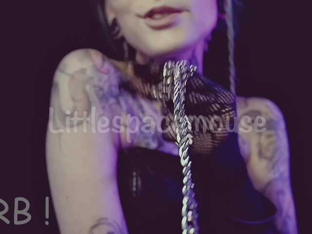 LittleSpaceMouse-