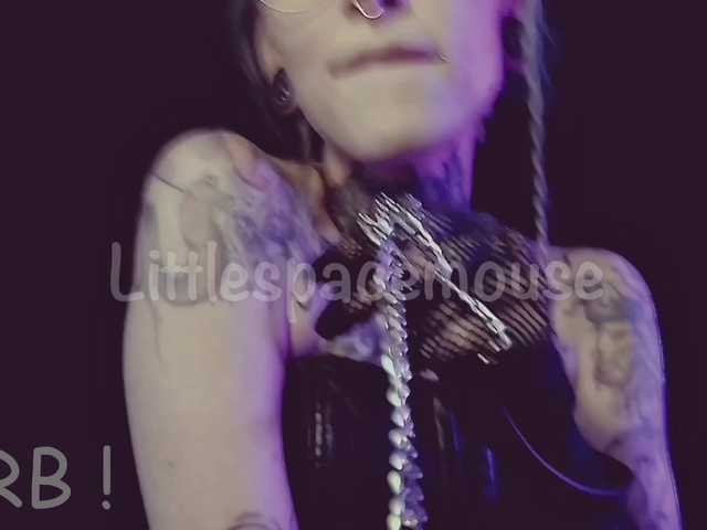 LittleSpaceMouse-