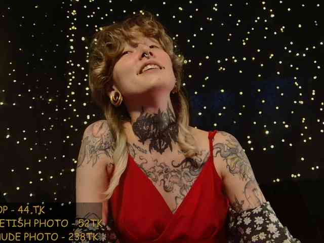 LittleSpaceMouse- webcam