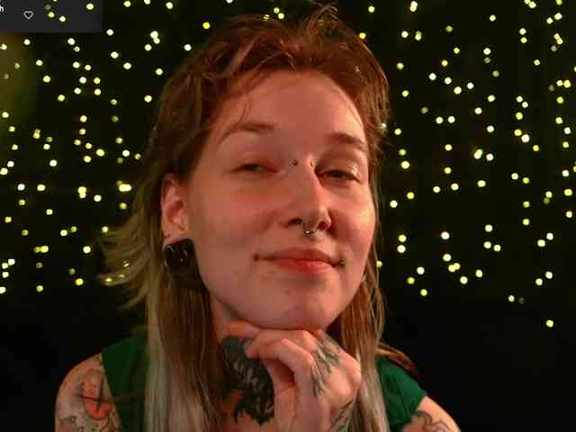 LittleSpaceMouse- webcam