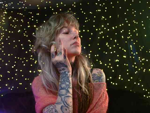 LittleSpaceMouse- webcam