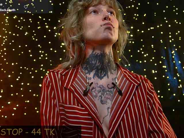 LittleSpaceMouse- webcam