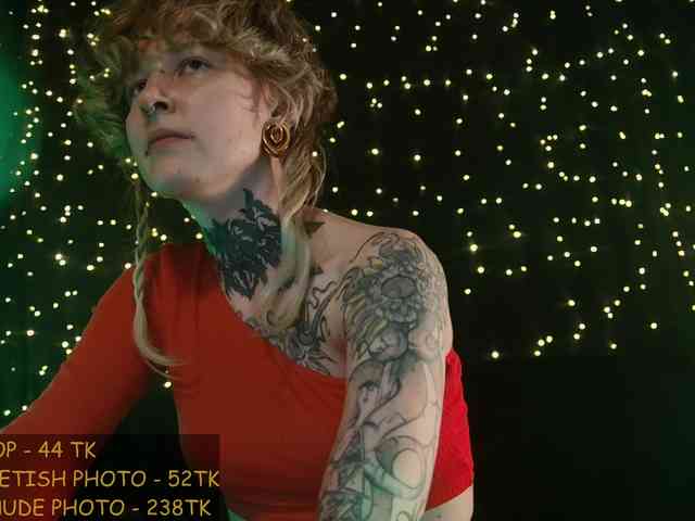LittleSpaceMouse- webcam