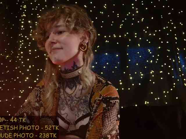 LittleSpaceMouse- webcam